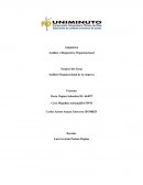 Análisis y Diagnostico Organizacional