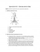 Ejercicio # 15 - Ciencias de la Vida