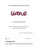 Mapeo de la cadena de valor “Producción de Castillo Doblado”