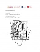 Programacion Avanzada