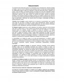 La personalidad en el trabajo en equipo