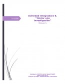 Legalización de la marihuana