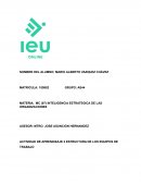 INTELIGENCIA ESTRATEGICA DE LAS ORGANIZACIONES