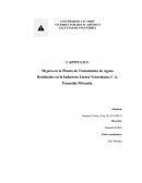 Mejora en la Planta de Tratamiento de Aguas Residuales en la Industria Láctea Venezolana, C.A