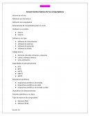 Conocimientos básicos de las computadoras