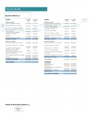 Análisis financiero ANDINA S.A