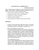 TALLER PRACTICO No. 1 SIEMBRA DE CAFÉ