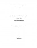 Cuidado de enfermera en el adulto y adulto mayor