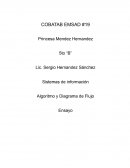 Sistemas de información. Algoritmo y Diagrama de Flujo