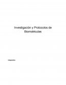 Investigación y Protocolos de Biomoléculas