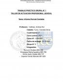 Contador Público - Informe Pericial