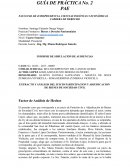 Plantilla Informe de Análisis de Caso-Guía de Práctica