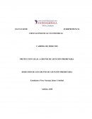 ENSAYO DERECHOS DE PERSONAS ATENCION PRIORITARIA