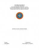 SISTEMAS SUAVES Y SISTEMAS DUROS