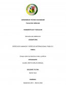 Ensayo los derechos civiles y políticos