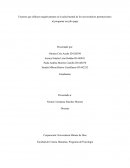 Factores que influyen negativamente en la salud mental de los universitarios pertenecientes al programa ser pilo paga