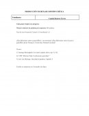 ¿Hay diferencias entre un guerrillero y un terrorista?