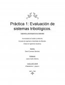 Práctica 1: Evaluación de sistemas tribológicos