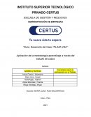 Desarrollo del Caso “PLAZA VEA”