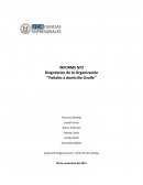 Diagnóstico de la Organización ‘’Pañales a domicilio Ovalle’’