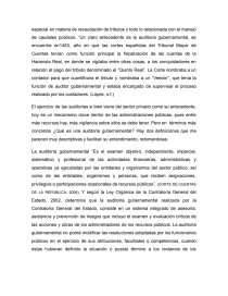 La auditoría gubernamental, un enlace con la gestión publica. Página 4