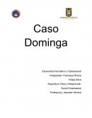 Caso Dominga