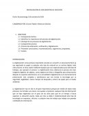 Informe de digitilizacion