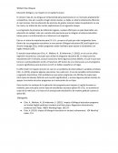 Educación bilingüe y su impacto en el capital humano.