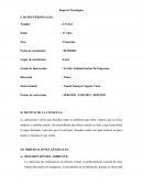 Reporte psicológico adolescente