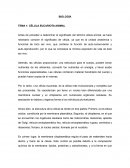 CÉLULA EUCARIOTA ANIMAL