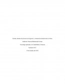 Gestión, diseños de procesos de negocios y sistemas de transacciones en línea