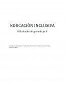 EDUCACIÓN INCLUSIVA Dificultades de aprendizaje II
