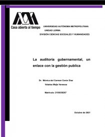 La auditoría gubernamental, un enlace con la gestión publica. Página 1