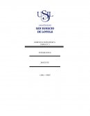 Productividad. La empresa AVINKA S.A