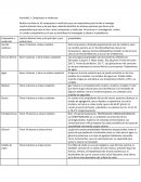 Actividad 1: Compuestos o moléculas