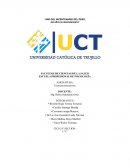 INFORME PSICOLÓGICO DEL TEST DE LA PAREJA DE BERNSTEIN