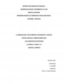 LA COMUNICACIÓN Y SUS ELEMENTOS. FUNCIONES DEL LENGUAJE
