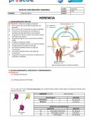 Guia de exploracion de herencia
