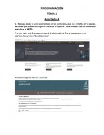 DAM Java 1. Página 1