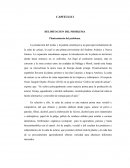 La producción del melao y la panela