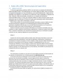 Redes LAN y WAN. Temario propio de Copermática