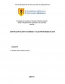 EXTRACCIÓN DE DNA PLASMÍDICO Y ELECTROFORESIS DE DNA