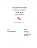 Impuesto Sobre La Renta