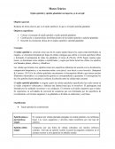 El tejido epitelial