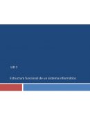 Estructura funcional de un sistema informático. Sistemas informáticos