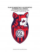Plan de marketing Stormers San Lorenzo