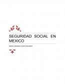 Seguridad Social en Mexico