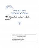 Modelo de la investigación de la acción