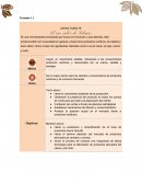 El rico sabor de Tabasco