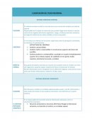 CLASIFICACIÓN DEL TEJIDO NEURONAL